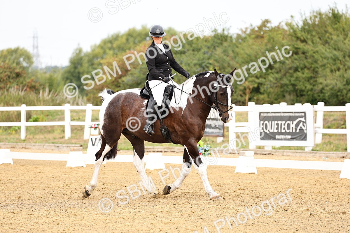 SBM_012215 - Class 2 - Prelim 5