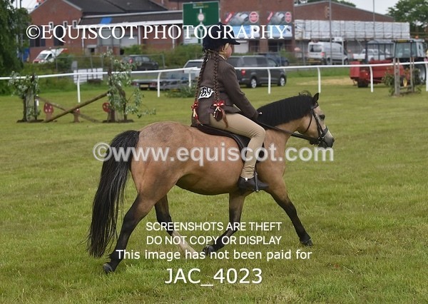 JAC_4023 - 40CM WORKING HUNTER