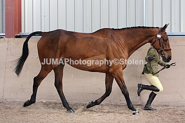 SIAL9807 - Indoor Classes