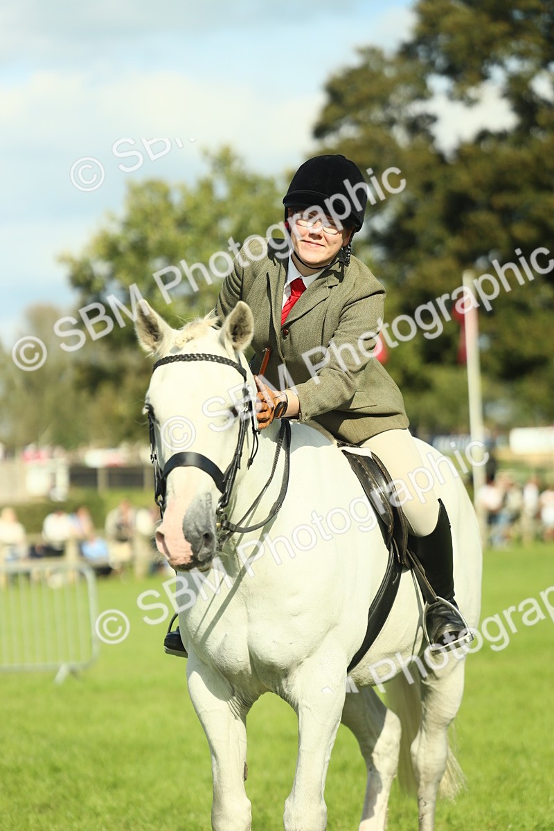 SBM_49907 - S32 - Novice & Newcomers Working Hunter