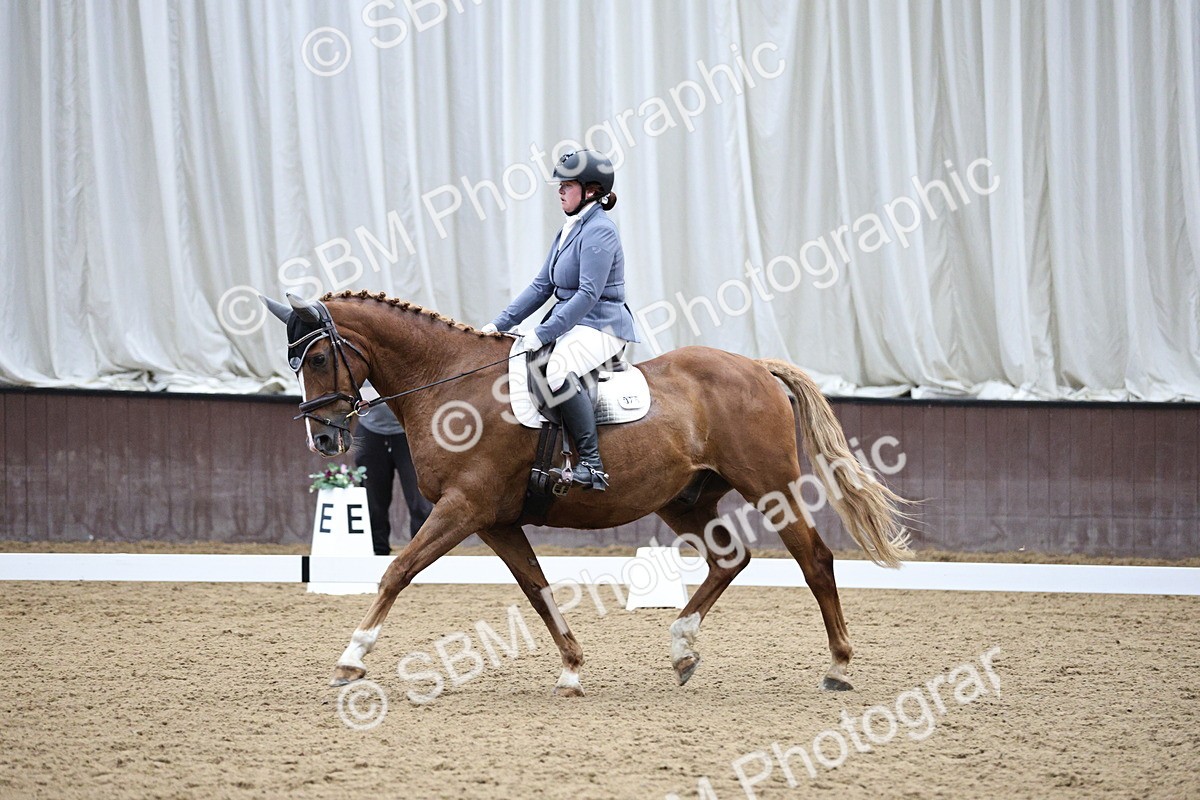 SBM_001256 - Class 5 - Novice 6