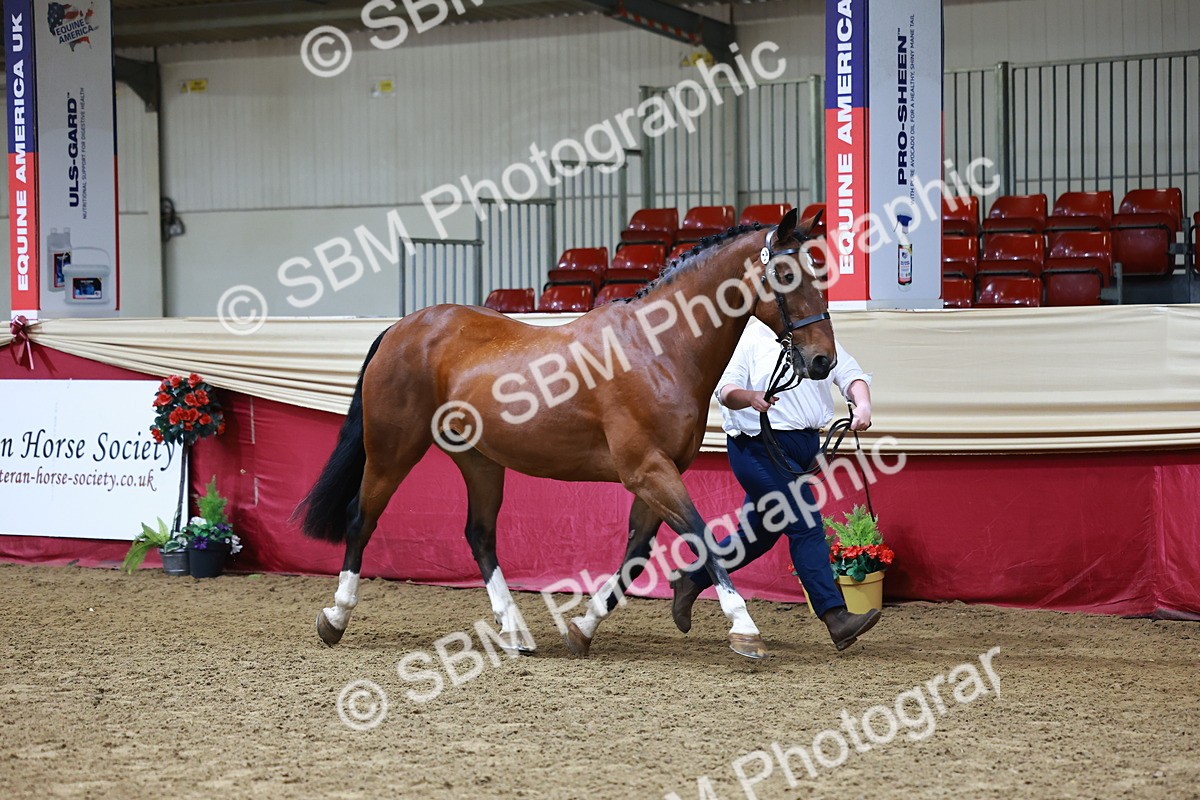 SBM_22154 - Class 902 - Supreme Final - IH Diamond