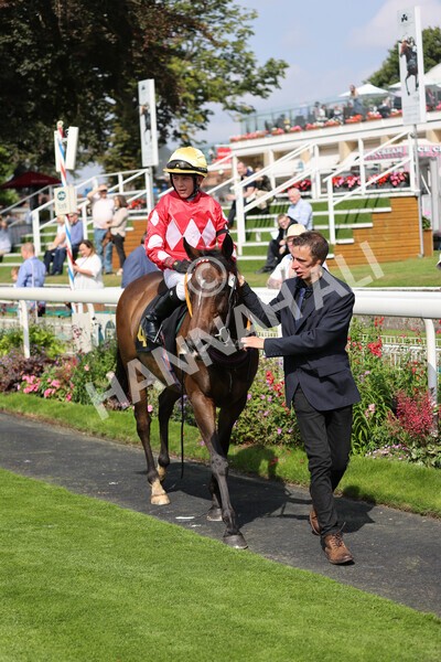 yr05092021rP-64 - Pony Races 138 and 148 cm