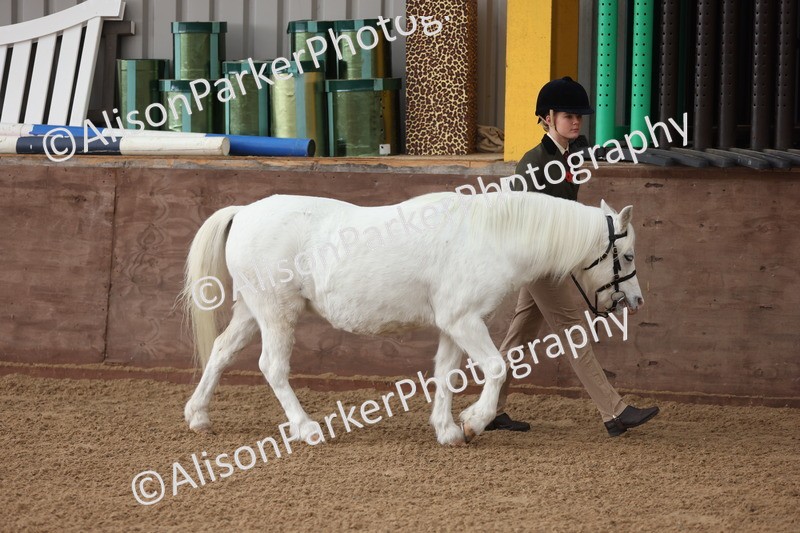 20251109-0549 - Class 21 - Mares 4 Years and over