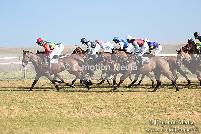 PtP 230219 67 - Vine & Craven Point-To-Point - Barbury 23/02/19