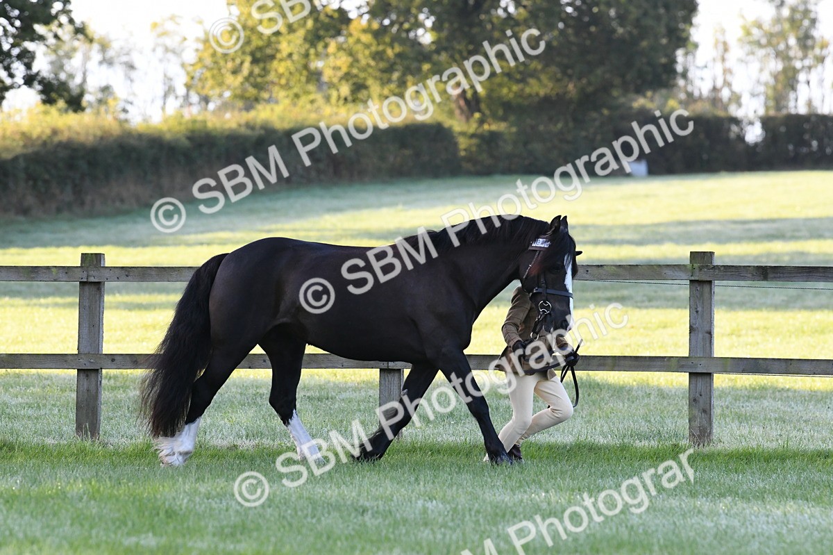 SBM_32496 - S15 - Condition & Turnout In Hand