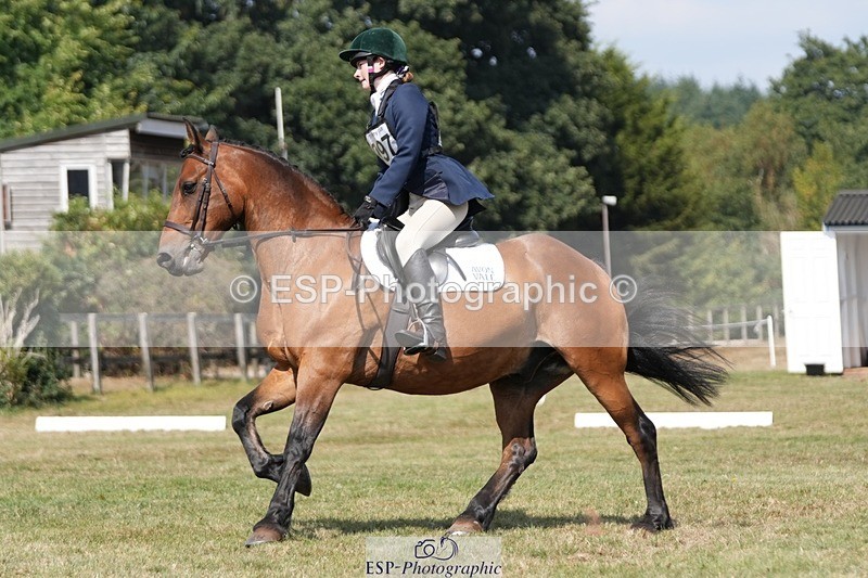 250823A-134144-31231 - Arena A