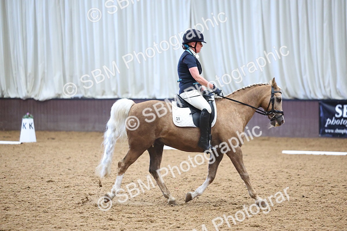 SBM_005687 - Class 3 - Novice 5