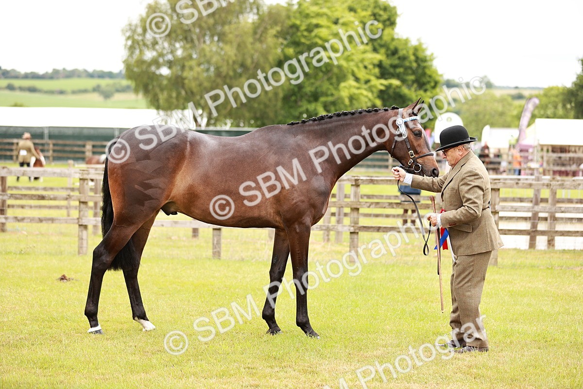 SBM_04787 - Class 35-38 Riding Horse Breeding