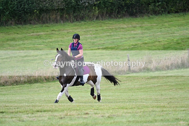 WJ7_6667 - Time 12:00 to 12:17