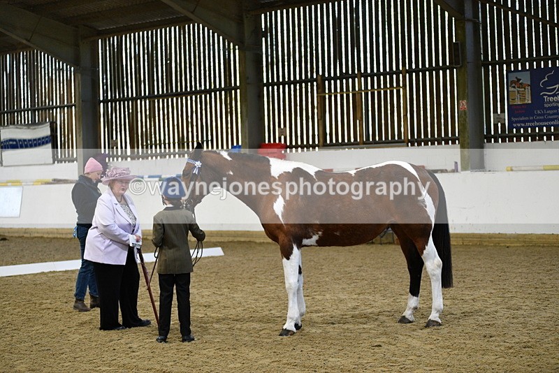 WJ5_3813 - Class 5 In Hand Veterans