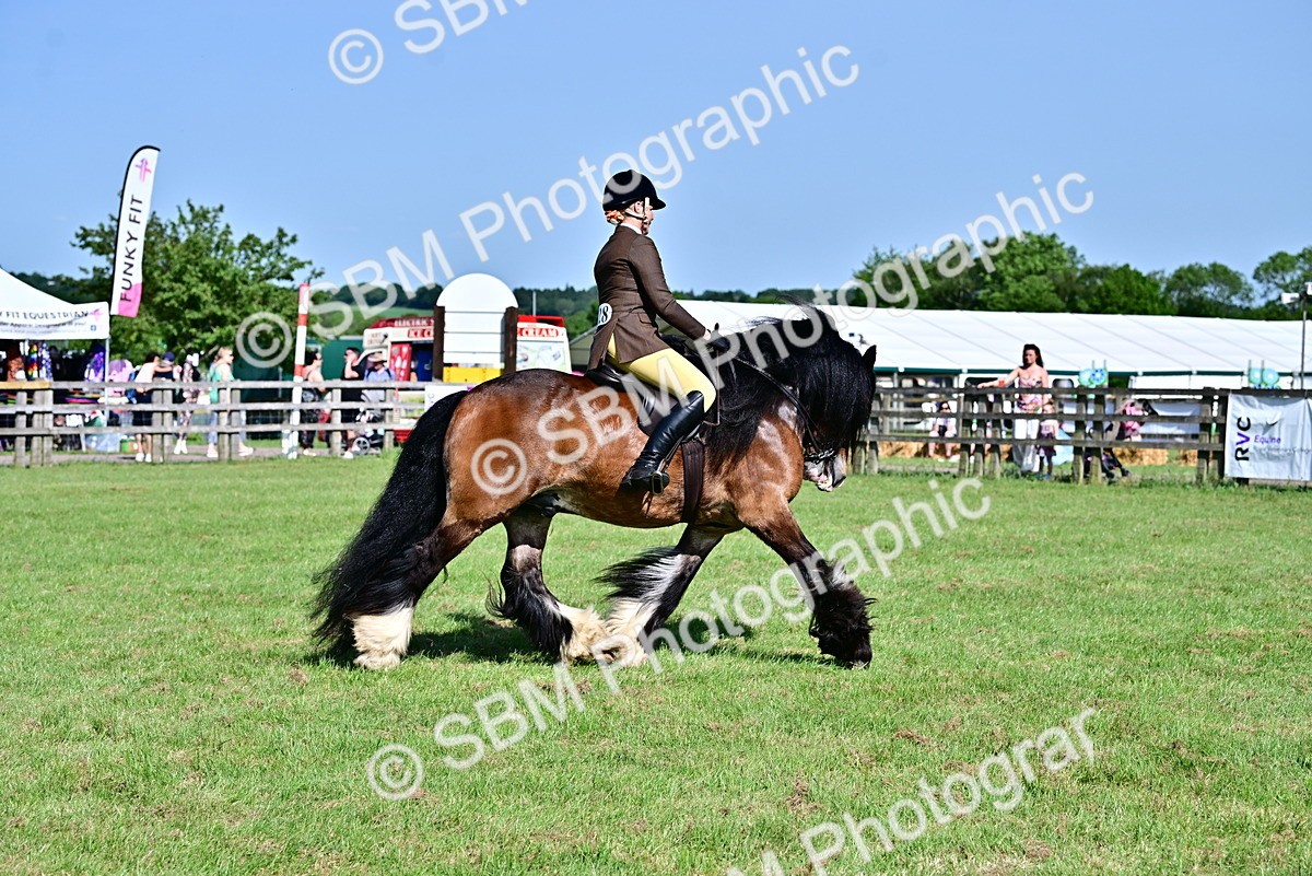 SBM_09359 - Class 63-65 - Traditional Gypsy Cobs In Hand & Ridden