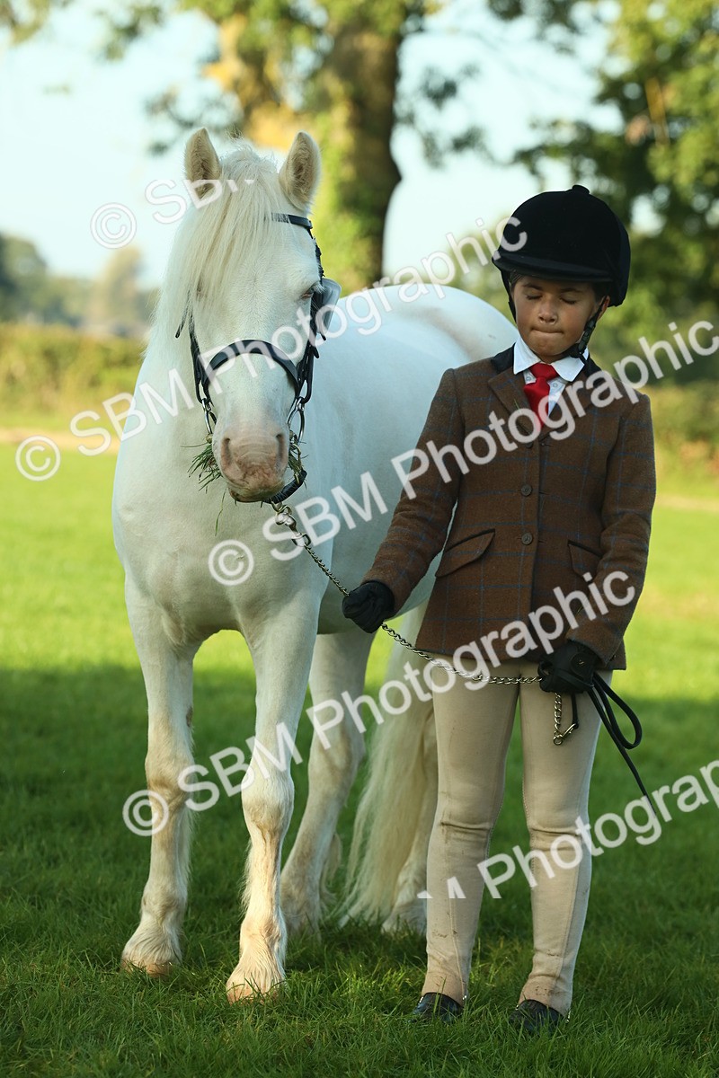 SBM_57509 - S37 - Starters In Hand Showing