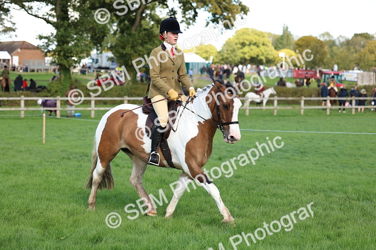 SBM_45490 - S33 - Working Hunter Pony