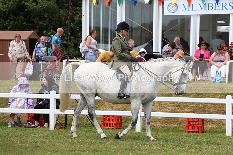 3E7A0797 - Class 8: Open Riding Horse/Hack