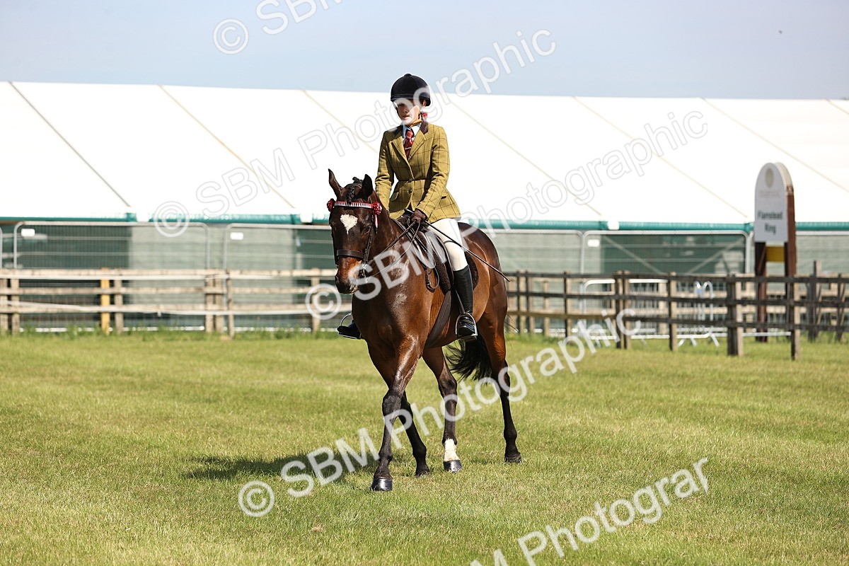 SBM_13015 - Class 75-76 LIHS BSHA Rising Star Hack Riding Horse