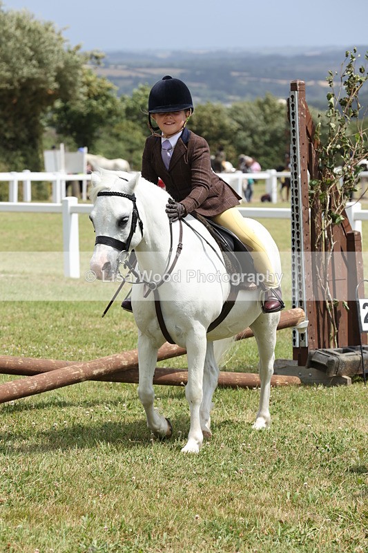 JPP_1971 - Class 18: Tiny Tots Working Hunter Pony