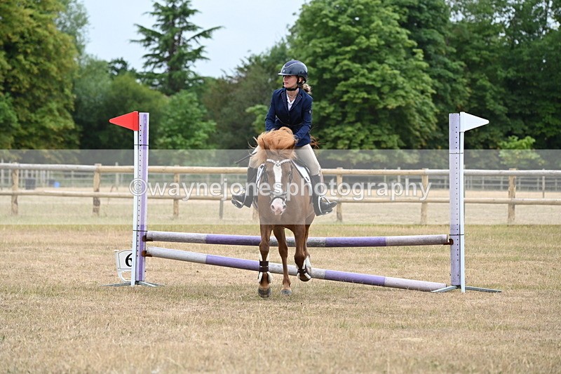 WJ6_0211 - Class 13 Novice Jumping 60cm