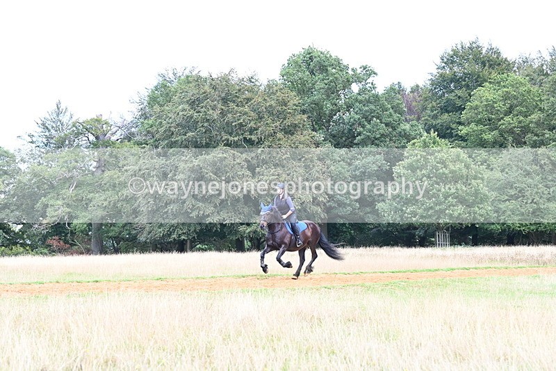 DSC_8710 - Time at Statue 13:52 to 14:33