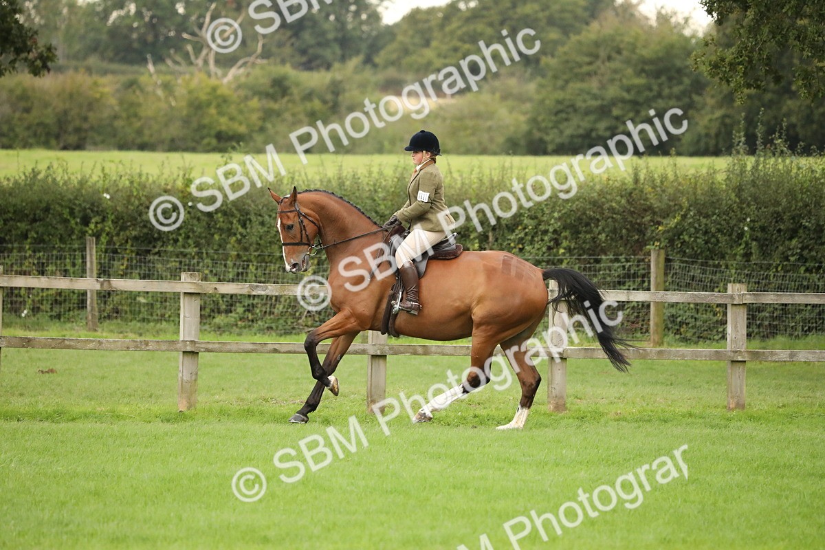 SBM_73731 - S41 - Ridden Equitation (Best Rider)