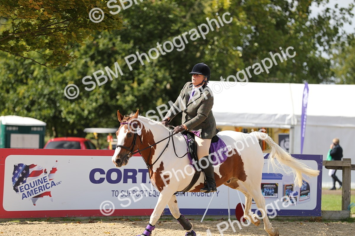 SBM_05767 - J35 - Veteran Rider 60cm