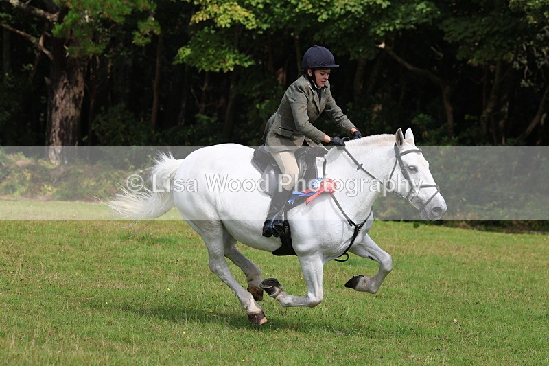 3E7A6123 - Working Hunter Championship