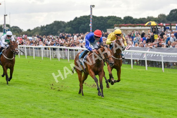 230923-Race 1-Invincible Molly-5868 - Race 1 2.00pm Jigsaw Sports Branding EBF Fillies' Novice Stakes