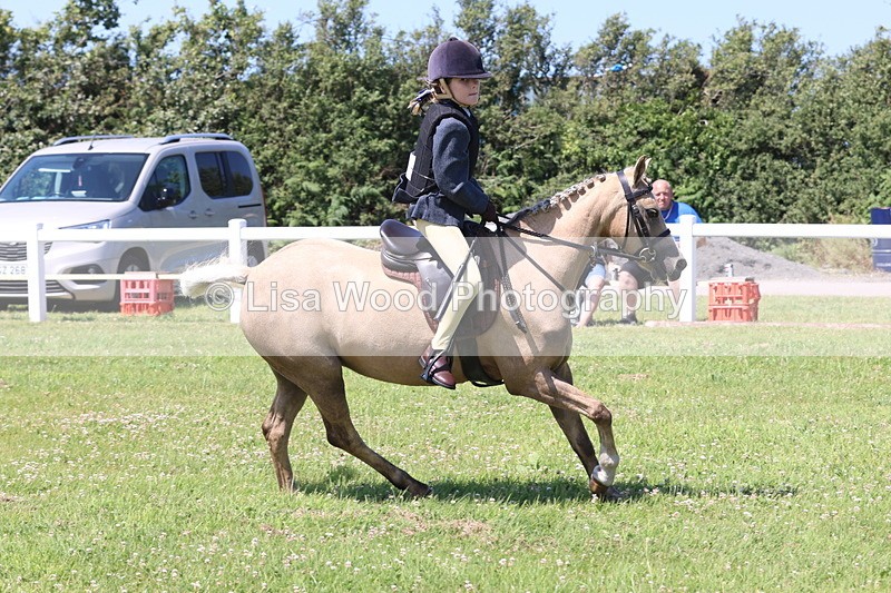 JPP_2212 - Class 20: Tiny Tots Working Hunter Pony