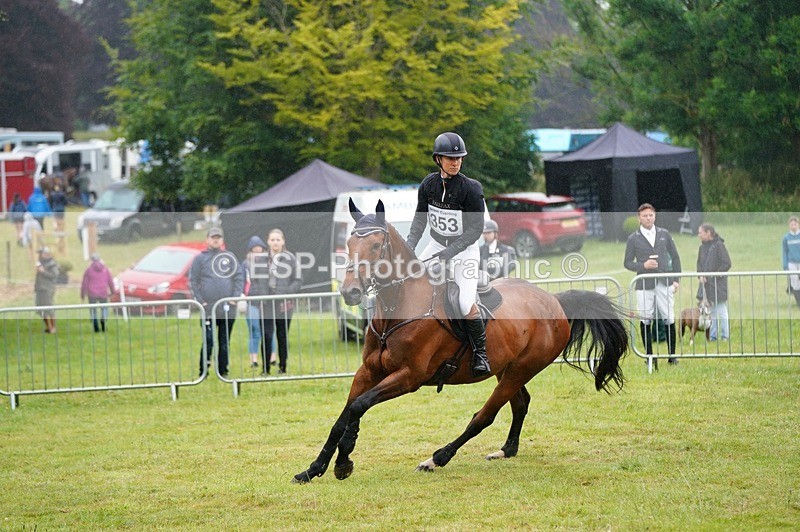 240630X-094122-5219 - 353-Hani_Milstein-COCCINELLE