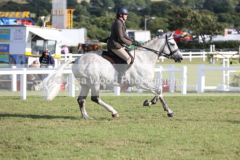 JPP_3427 - Class 22: Working Hunter 90cm