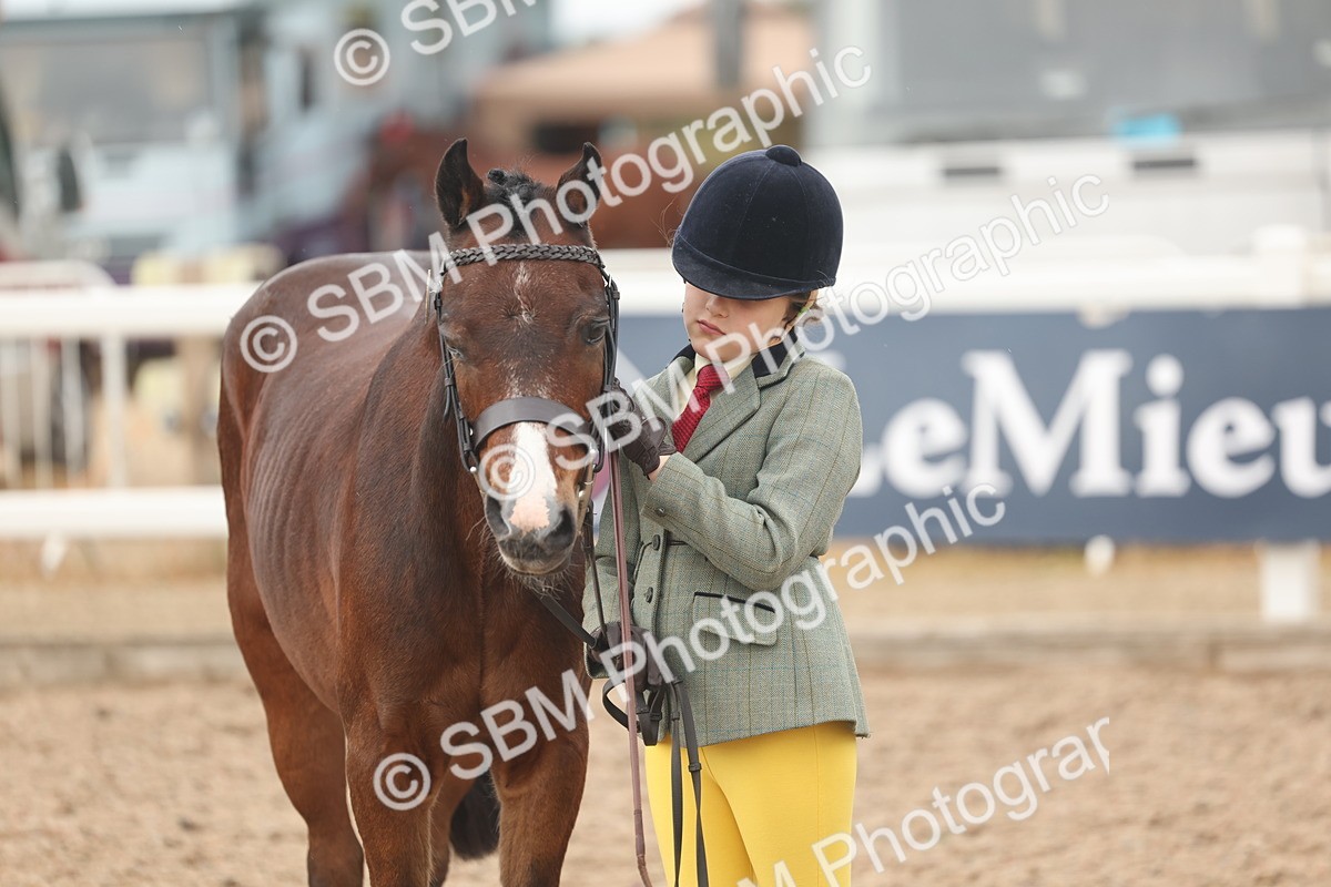 SBM_00597 - Class 13 Young Handler