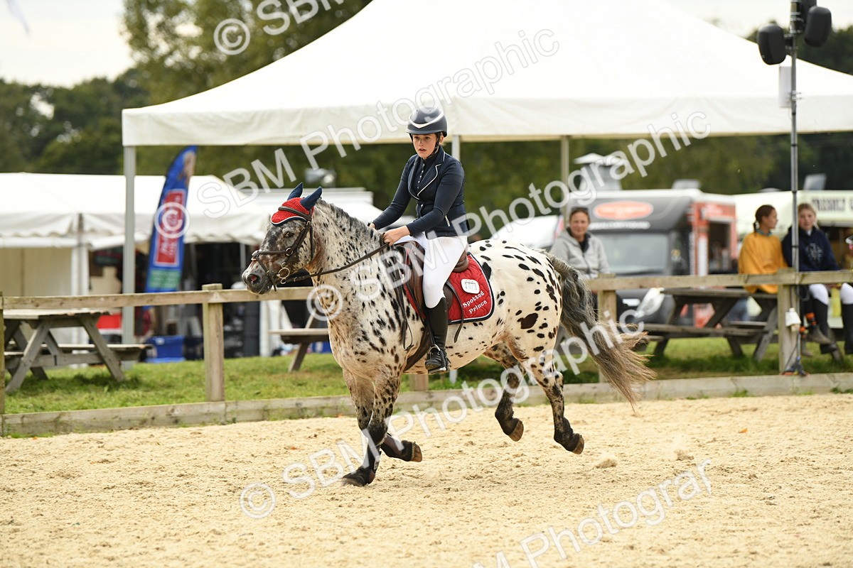 SBM_75668 - Supreme Championship