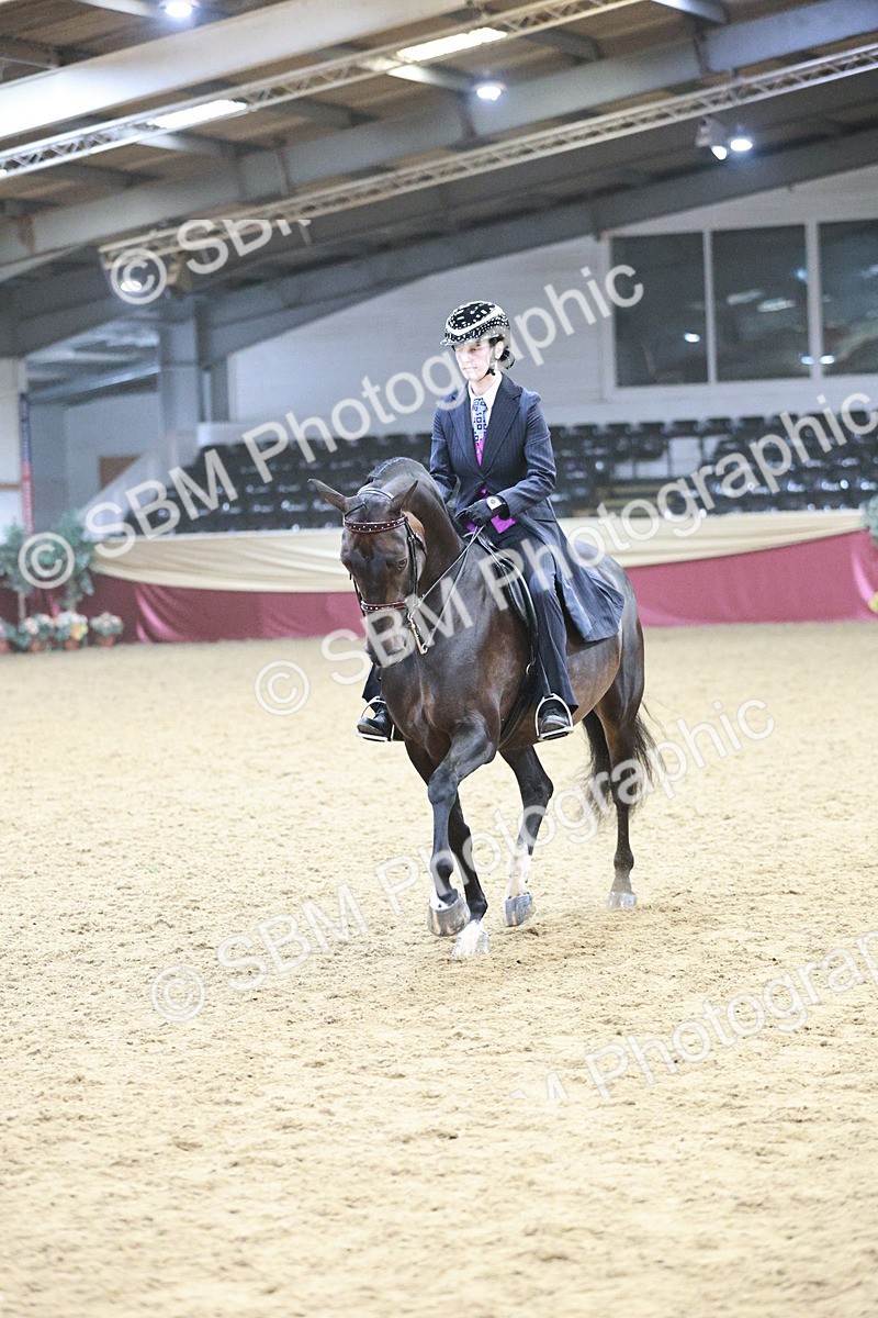 SBM_03364 - Class 6A Area Ridden Pre-Vet