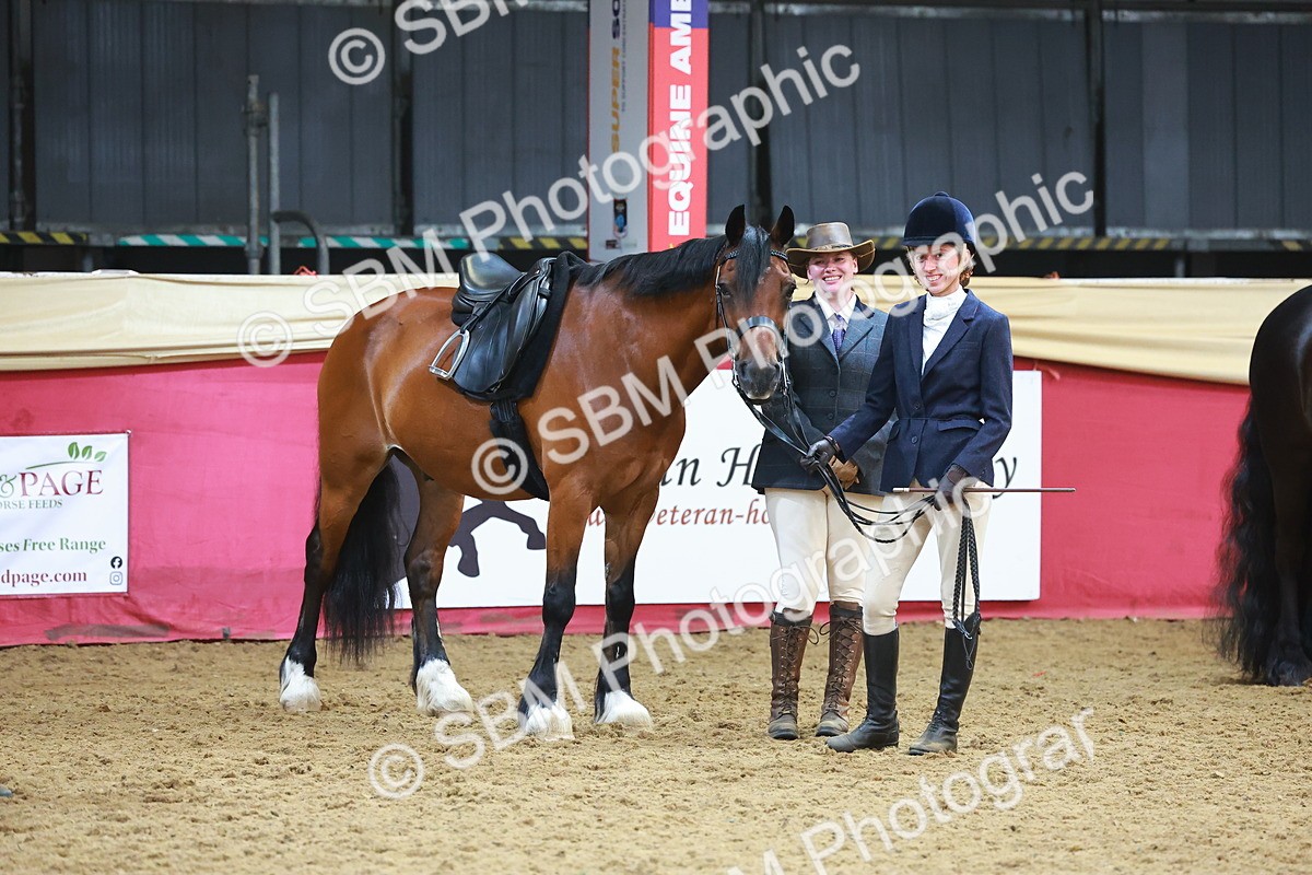 SBM_17850 - Class 952 - M&M Ridden Supreme Final