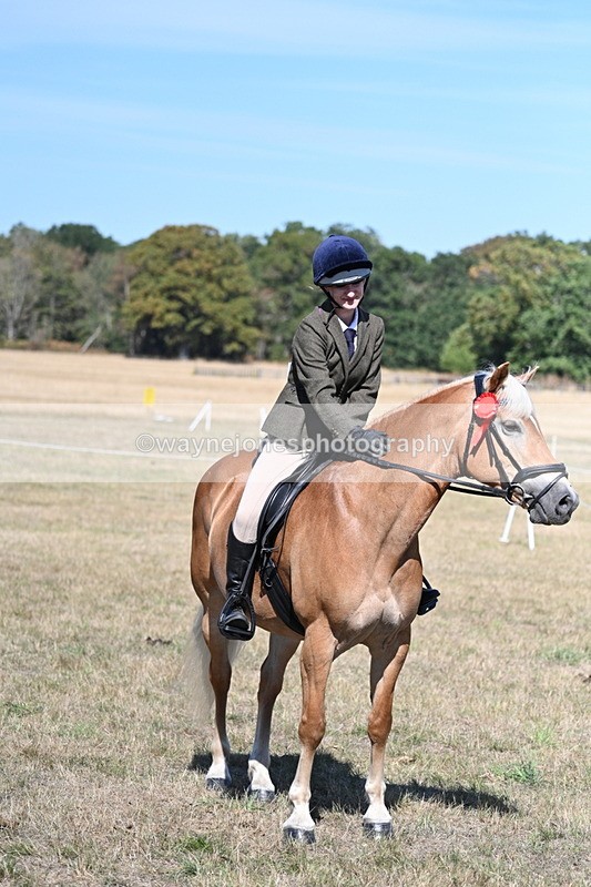 WJ7_1323 - Class 41 Prettiest Mare