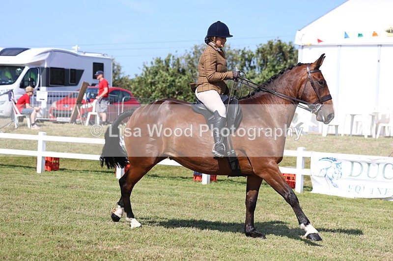 3E7A6360 - Class 4: Rising Star M/H Hunter