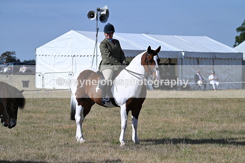 WJ7_2891 - Class 8 Ridden Tack & Turnout