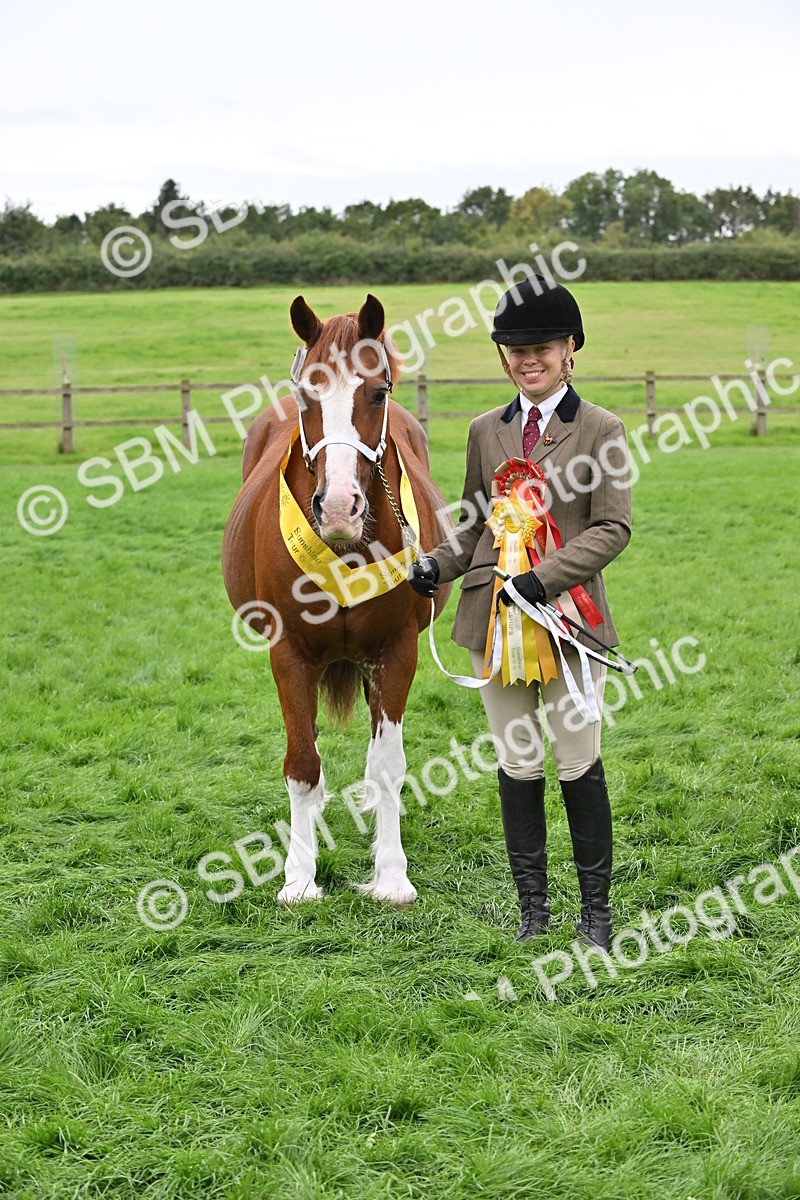 SBM_65029 - In Hand Pony & Younstock Supreme Championship
