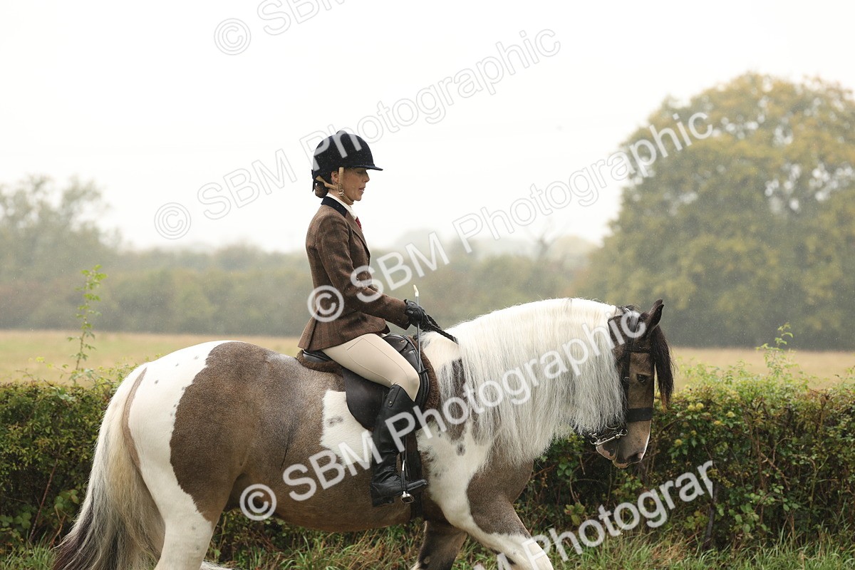 SBM_72658 - S70 - Traditional Cob Ridden