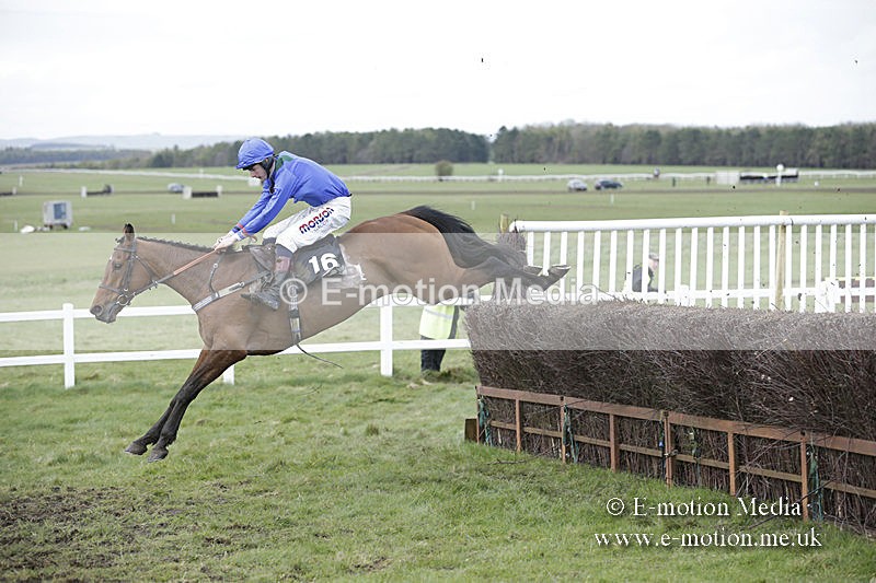 PtP 150320 0702 - New Forest Point-to-Point Larkhill 15/03/20