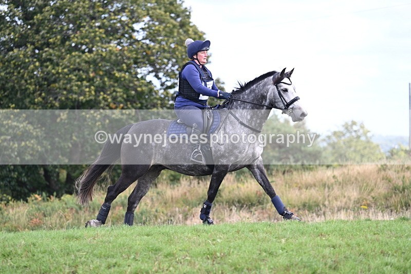 WJ7_0356 - Time 11:36 to 12:00