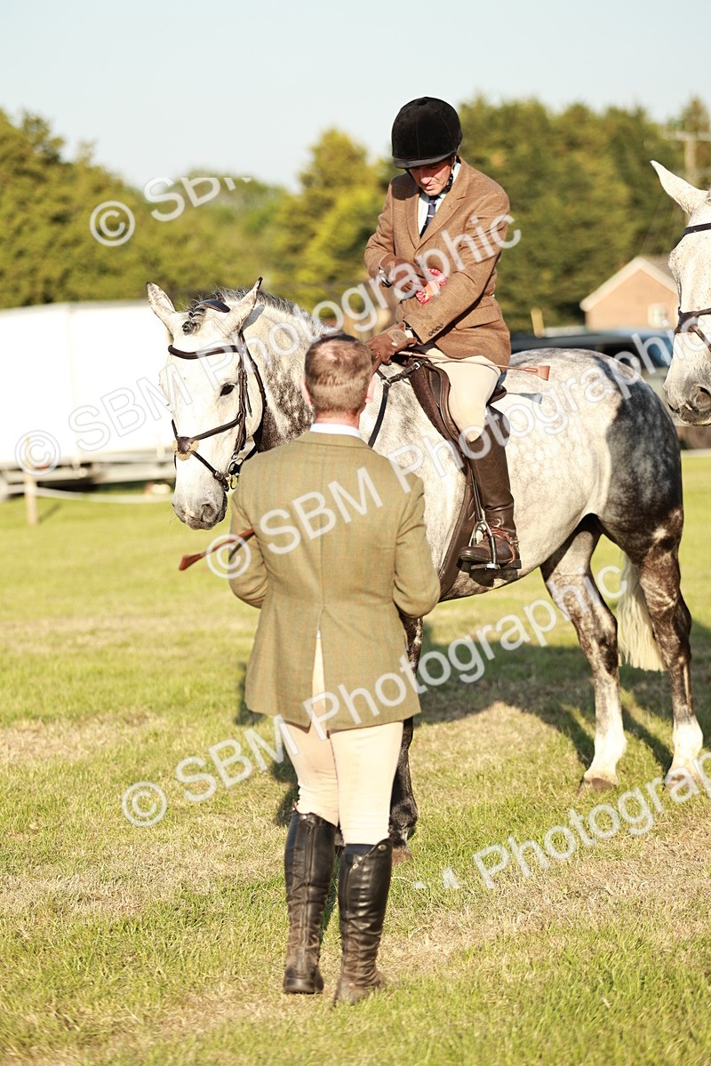 SBM_20561 - Class 117-119 - Sport Horse Working Hunter