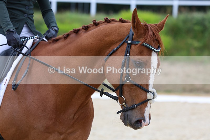 3E7A1877 - Class 3: Prelim 2 2024 Section A