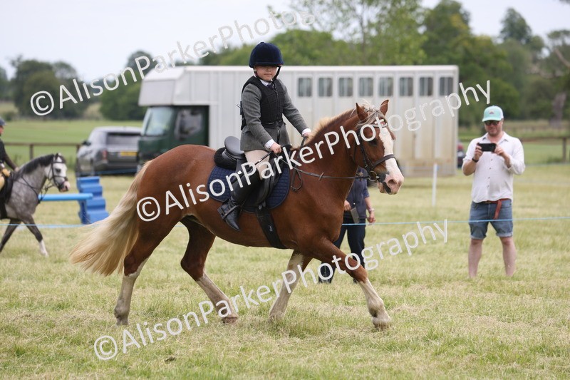 20260614-3096 - Class 22 - Open Working Hunter