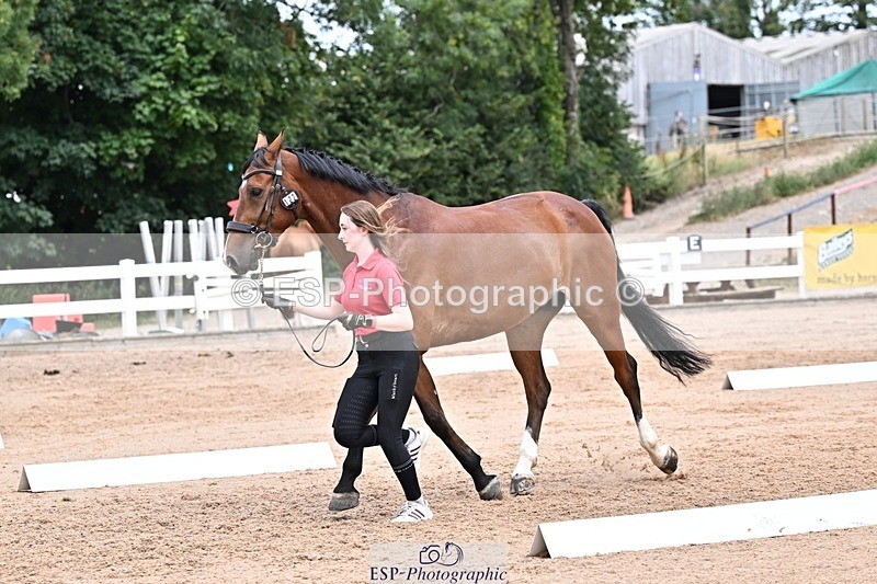 250716-133538-00590 - Trot Up 1.30 to 2.30