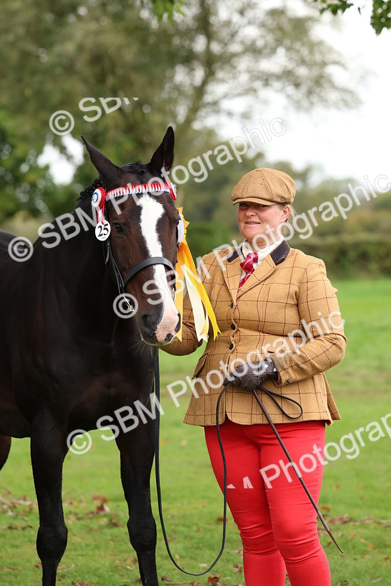 SBM_41754 - S26 - Mature Veteran In Hand