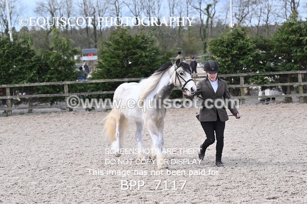 BPP_7117 - RING 1  (RIDDEN HORSES / IN HAND / VETERAN ETC)