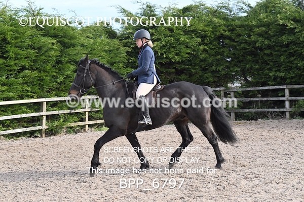 BPP_6797 - RING 1  (RIDDEN HORSES / IN HAND / VETERAN ETC)