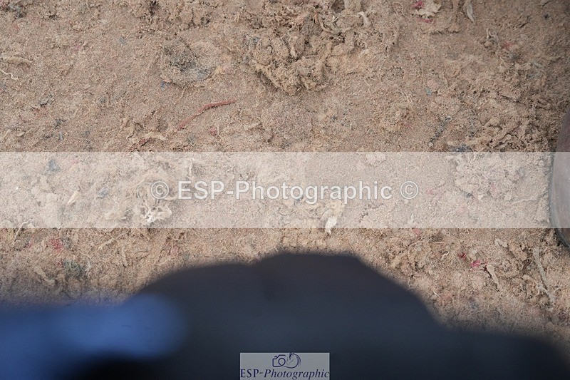 260315-132817-06271 - Cls 36 1.05m Amateur Quali