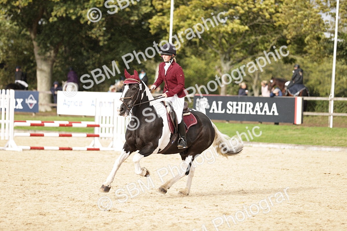 SBM_28546 - J46 - Accumulator 80 90cm